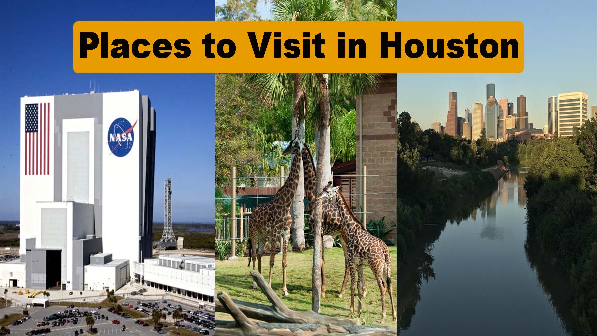 Top 5 Attractive Places to Visit in Houston Texas