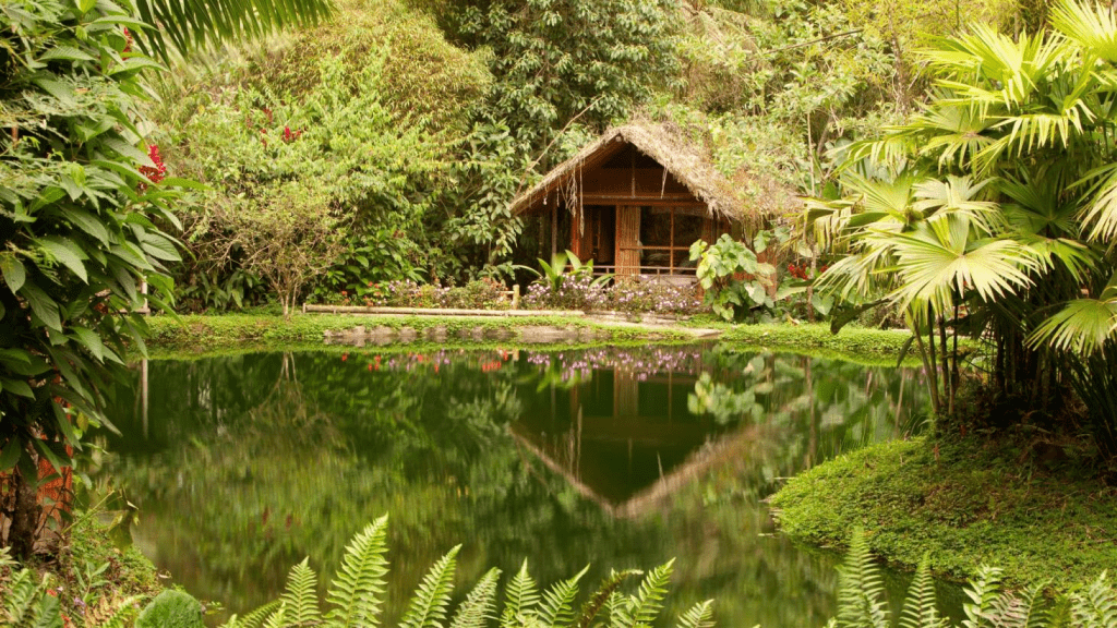 Top 10 Ecuador Destinations 