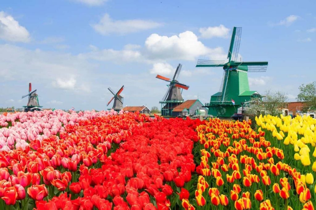 10 Amazing Places to Visit in the Netherlands