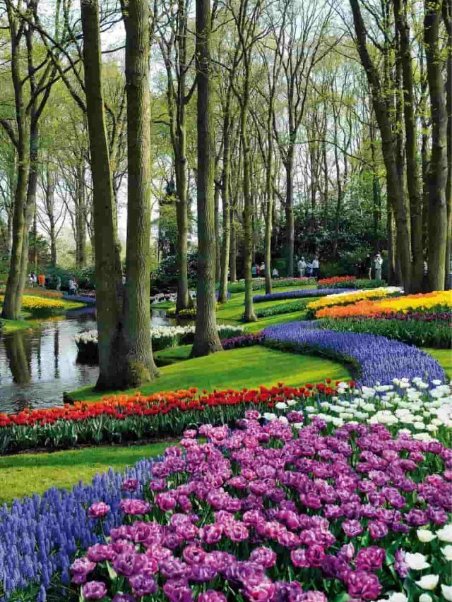 10 Most Beautiful Gardens in the World!