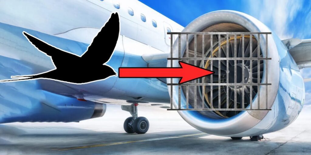 Flight SECRETS that are never told to Passengers