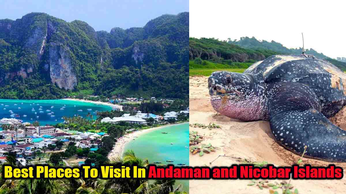 5 Best Places To Visit In Andaman and Nicobar Islands 2023