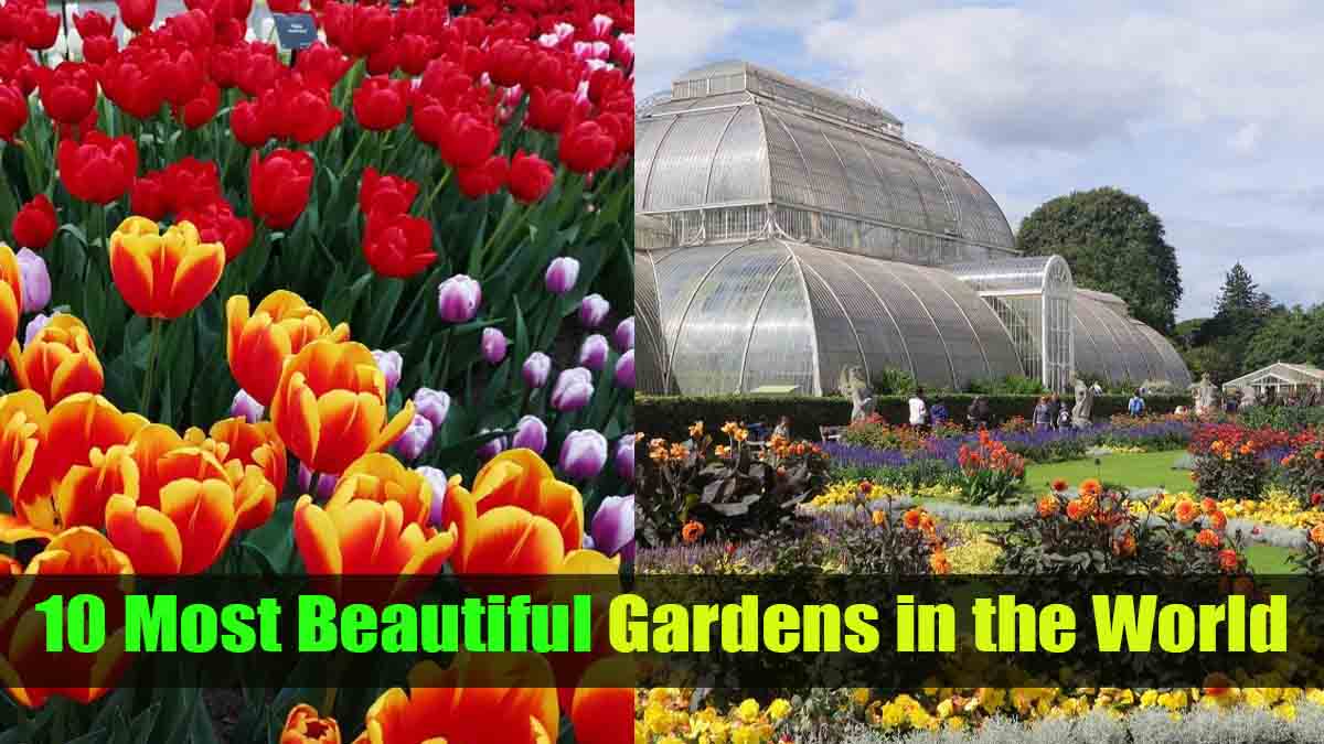 10 Most Beautiful Gardens in the World