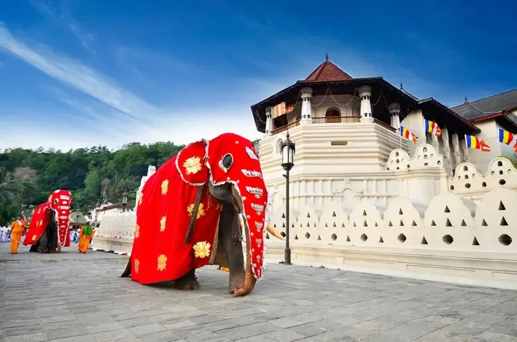 How To Spend 7 Days In Sri Lanka
