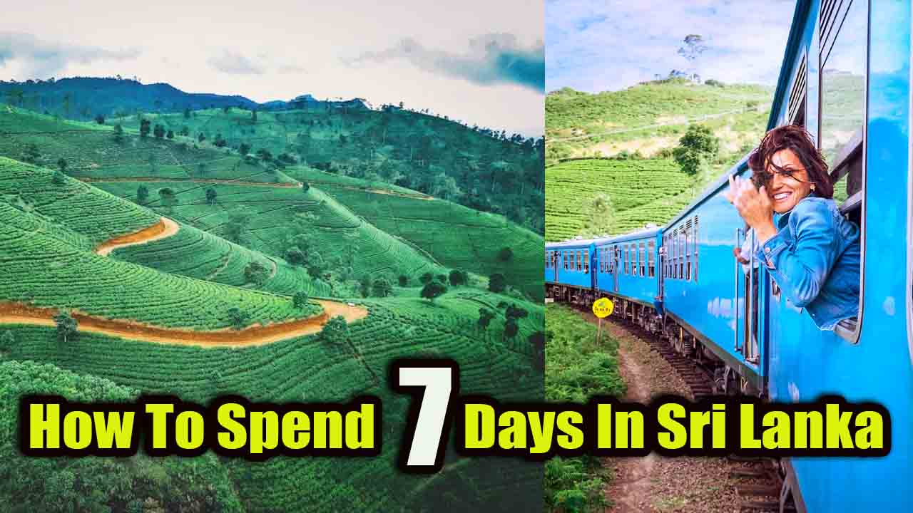 How To Spend 7 Days In Sri Lanka| Travel Advice
